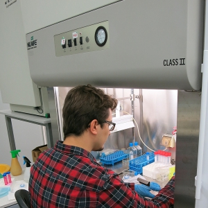 Biological Safety Cabinet for Preparation Biological Samples