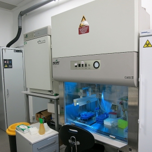 View on the Preparation Room for Chemical and Biological Samples