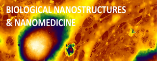 Logo pracownii nanostruktur biologicznych i nanomedycyny
