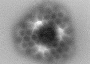 Obraz nc-AFM porowatego nanopłatka wytworzonego na powierzchni Au(111) [11].